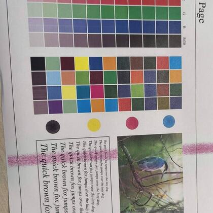 Konica — Dungi pe Pagină - service CED Soluții